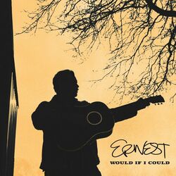 Cover of Would If I Could