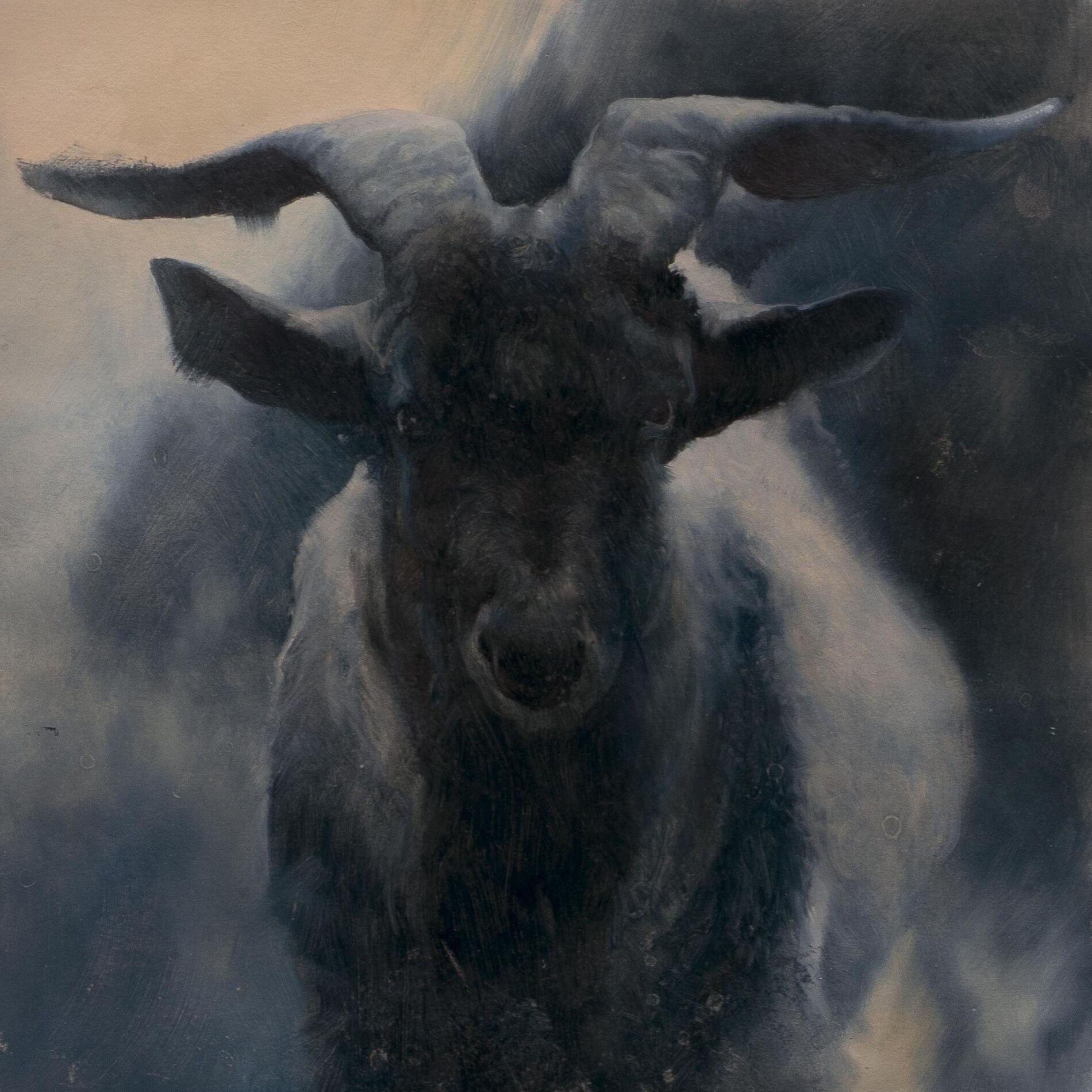 Album cover of Cazabruxas
