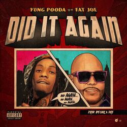 Cover of Did It Again