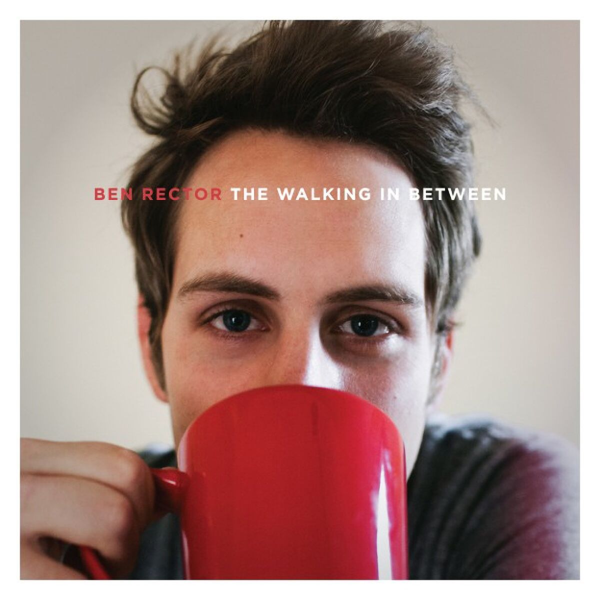 Album cover of The Walking in Between