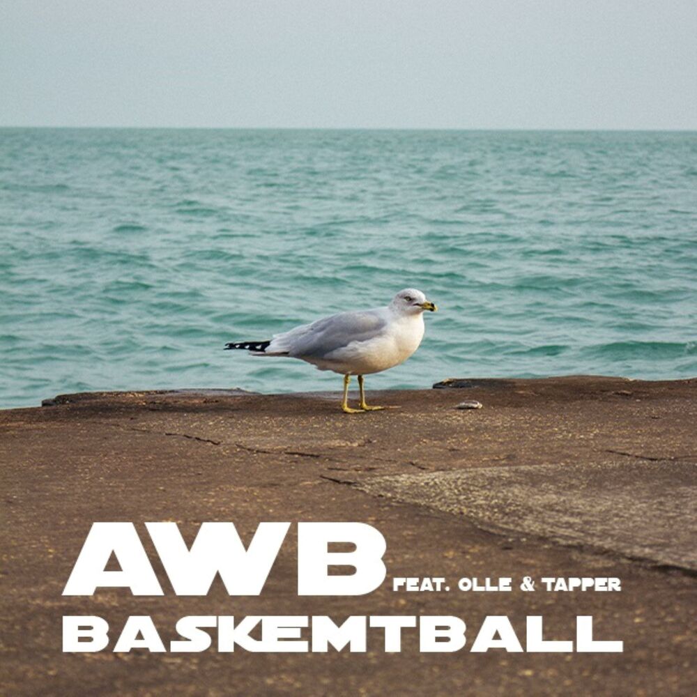 Picture of Baskemtball (feat. Olle Wollter & Tapper)
