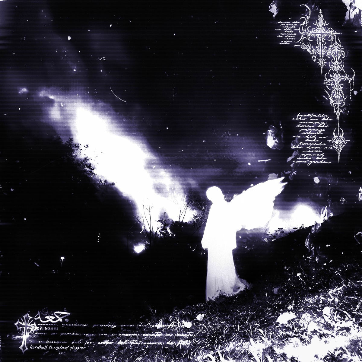 Album cover of TRAGELUXE