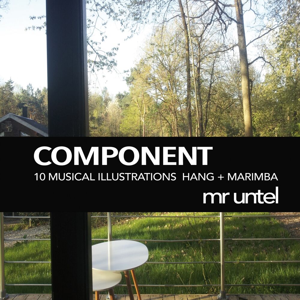 Picture of Component (10 Musical Illustrations Hang + Marimba)