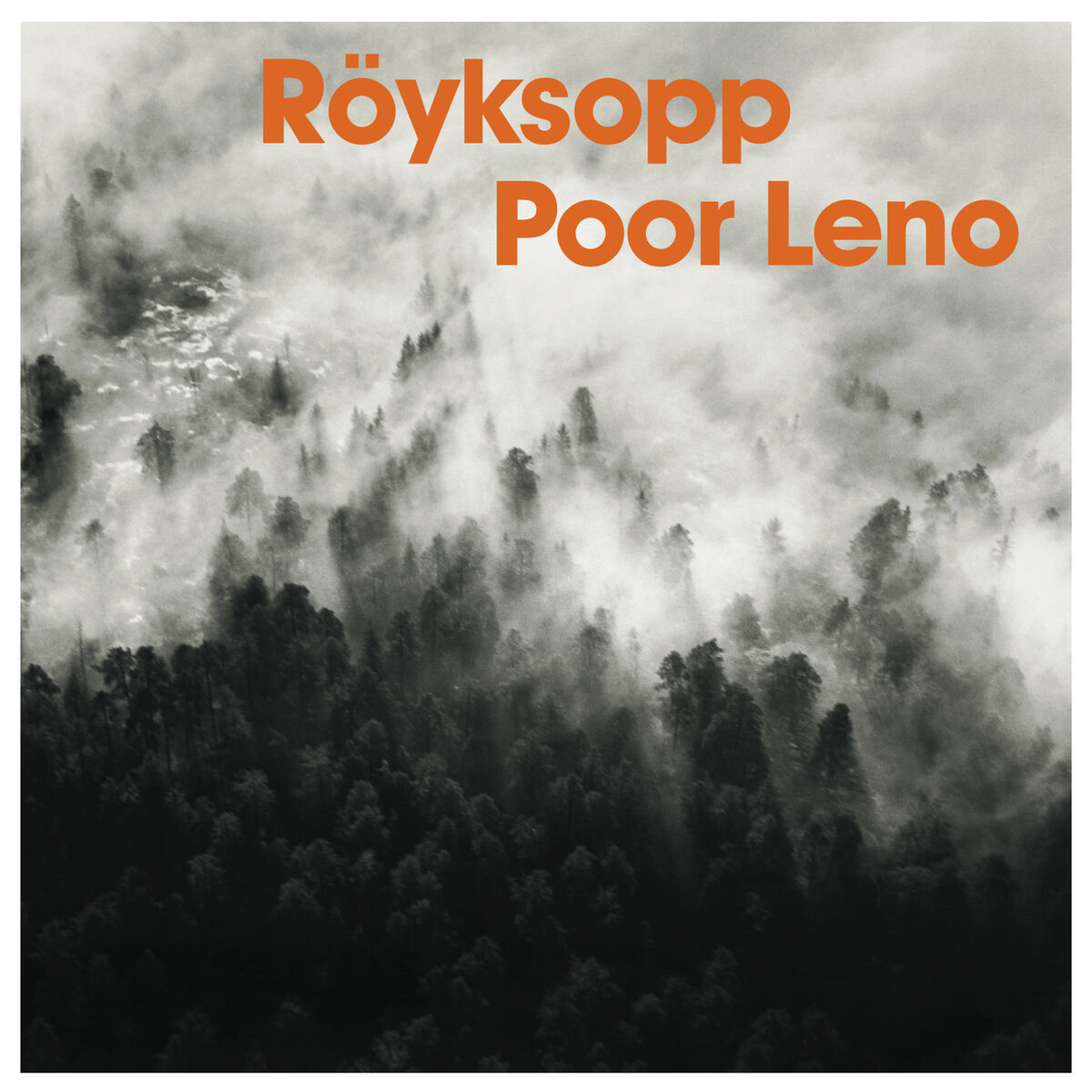 Album cover of Poor Leno