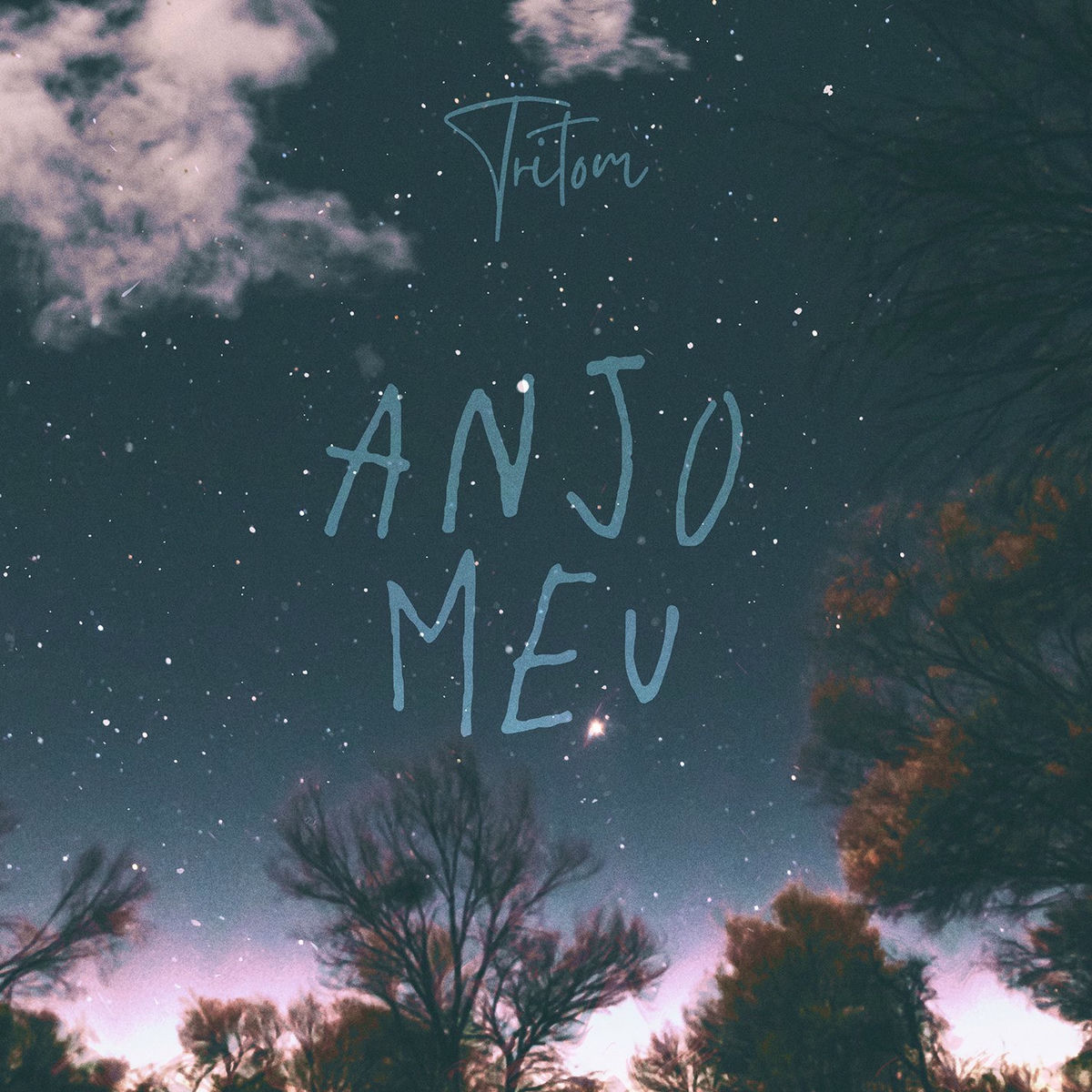 Album cover of Anjo Meu