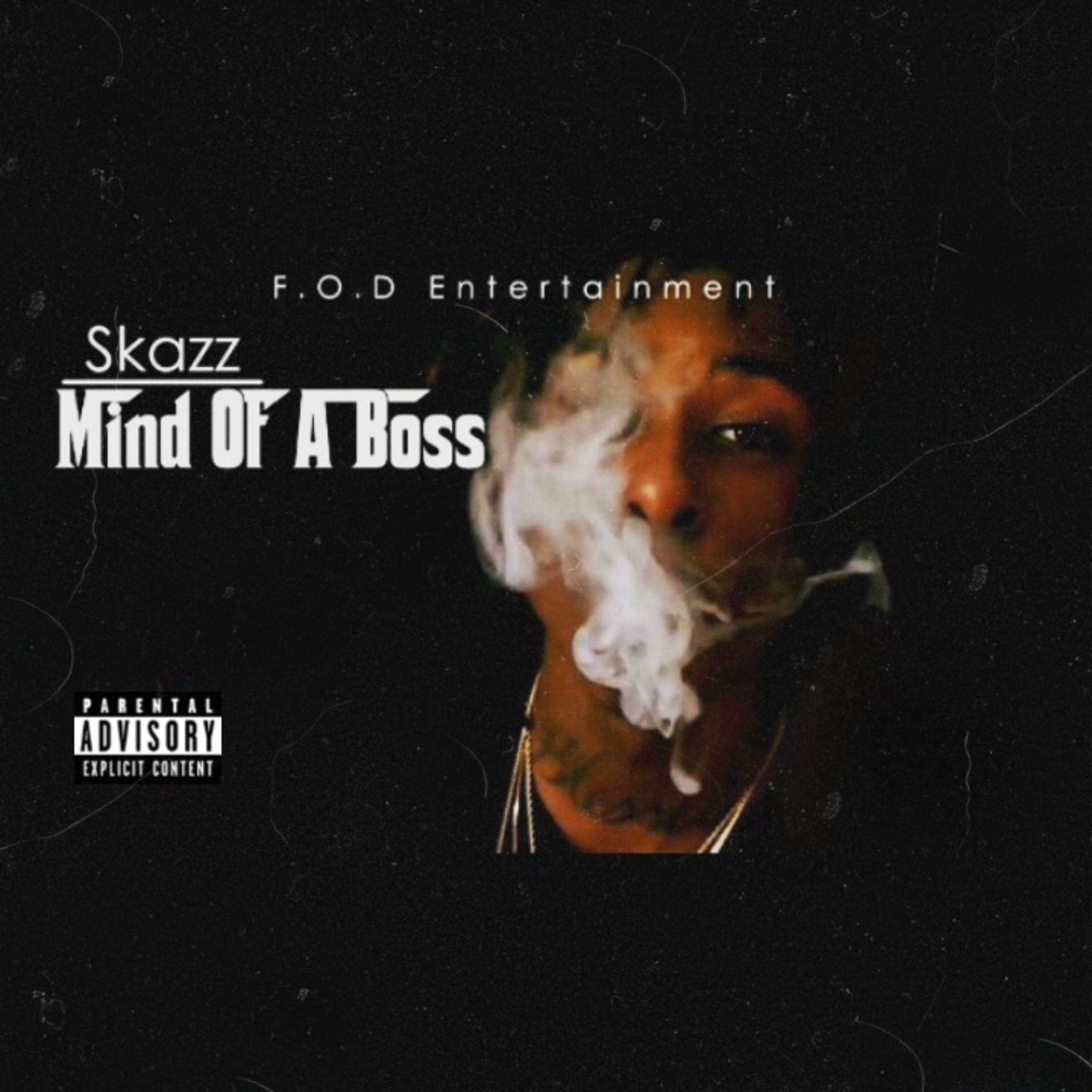 Album cover of Mind Of A Boss