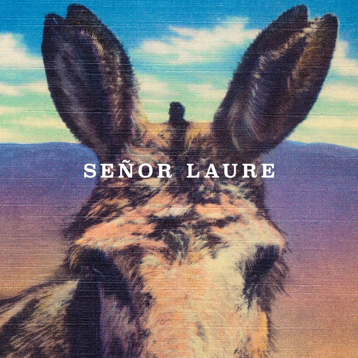 Album cover of Señor Laure