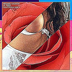 Cover of CALIFORNIA GIRLS