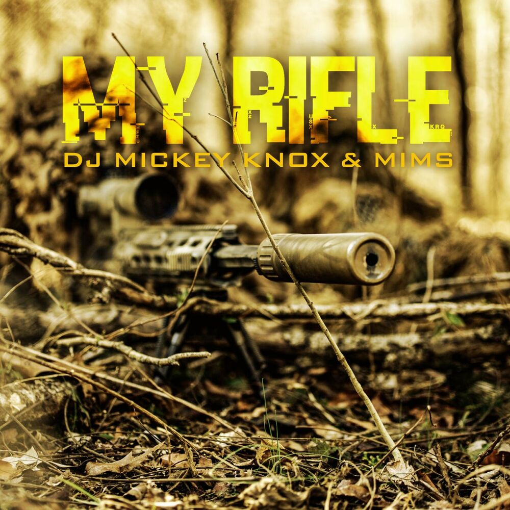 Picture of My Rifle