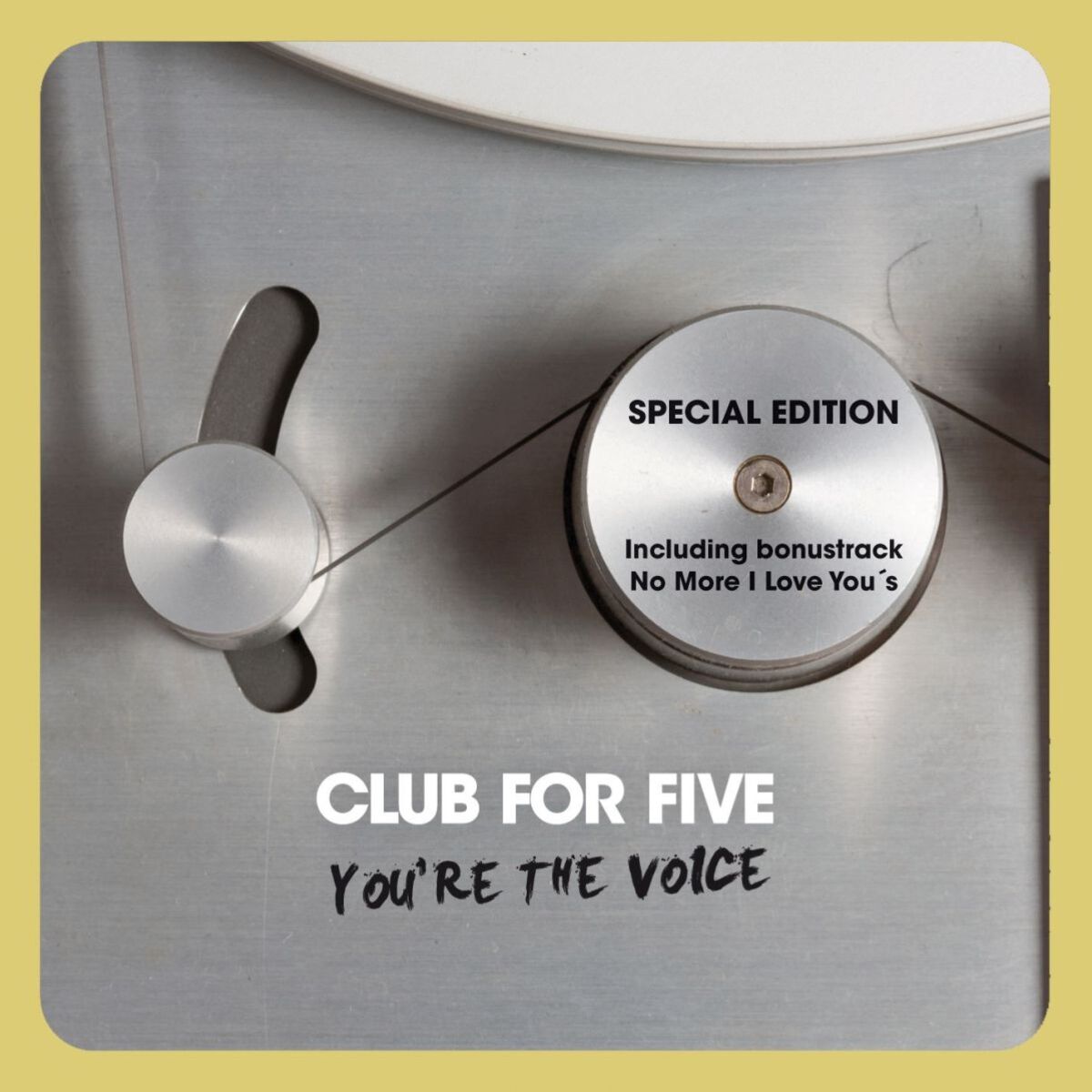 Album cover of You're The Voice - Special Edition