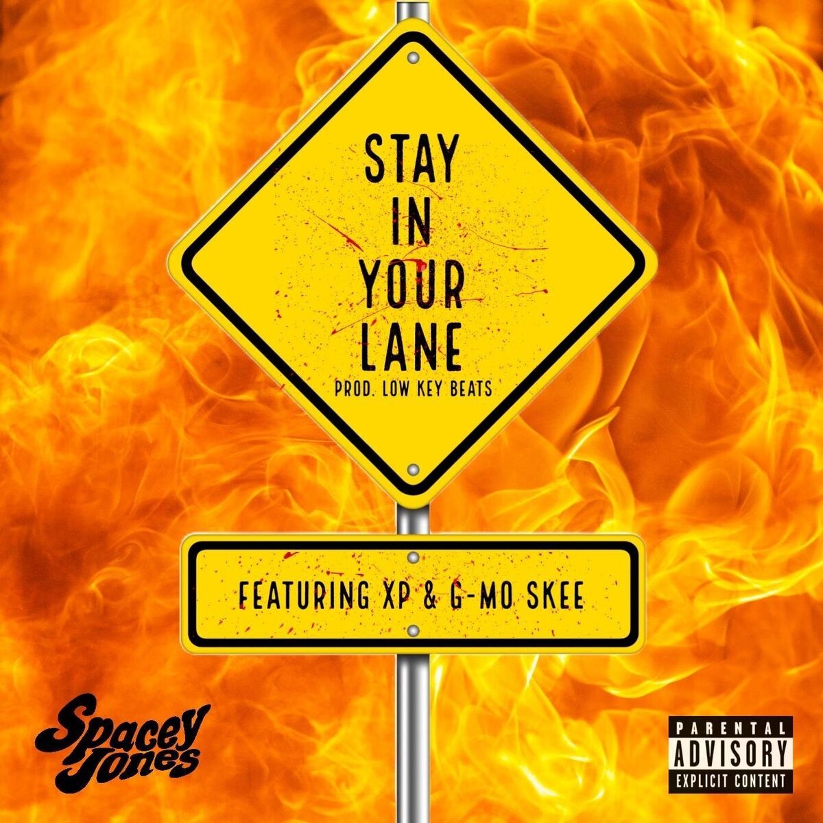 Album cover of Stay in Your Lane
