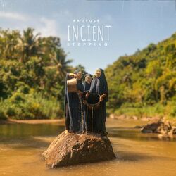 Cover of Incient Stepping