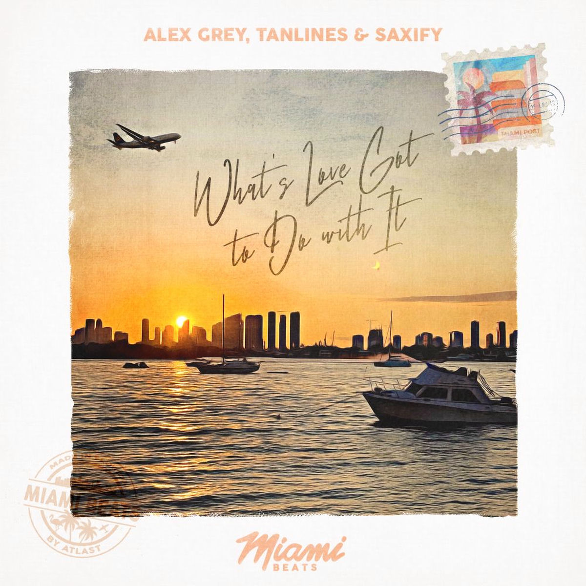 Album cover of What's Love Got to Do with It