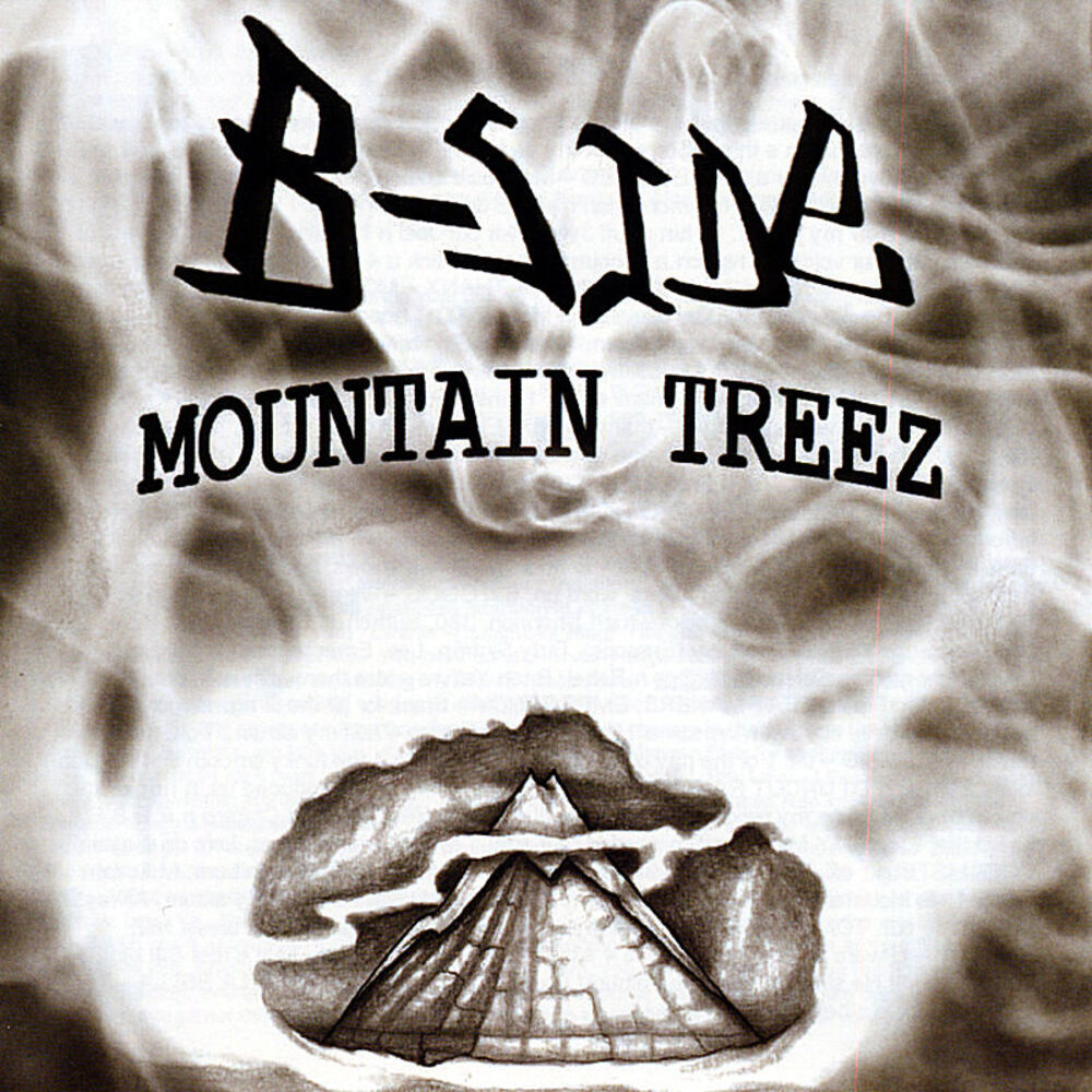 Picture of Mountain Treez