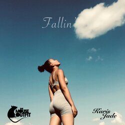 Cover of Fallin'