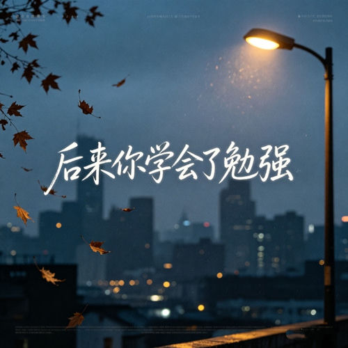后来你学会了勉强