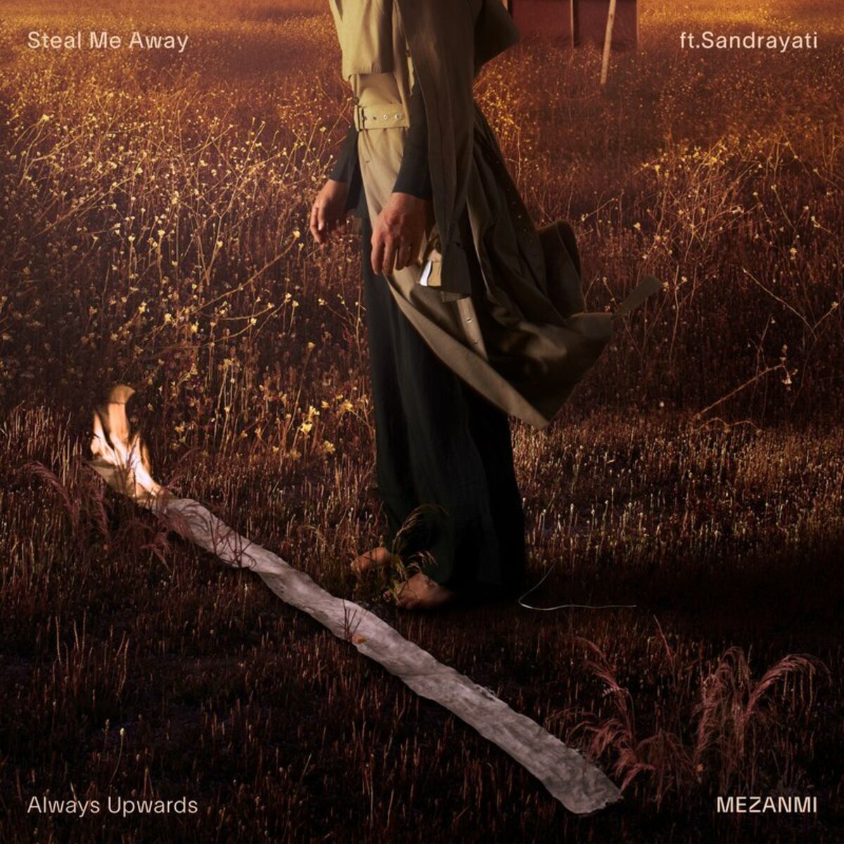 Album cover of Steal Me Away