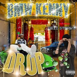 Cover of DROP