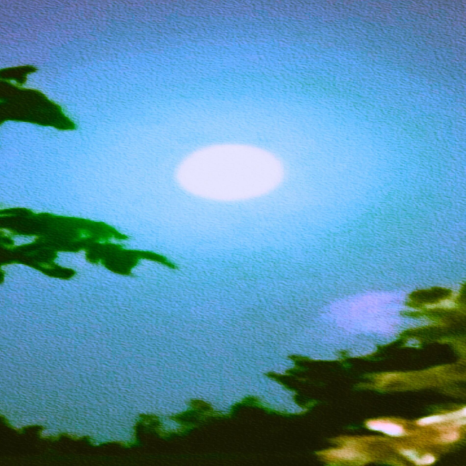Album cover of SIREN - Super Slowed