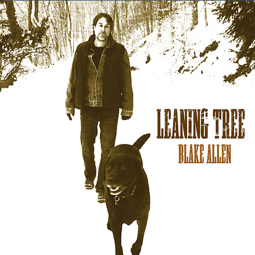 Picture of Leaning Tree