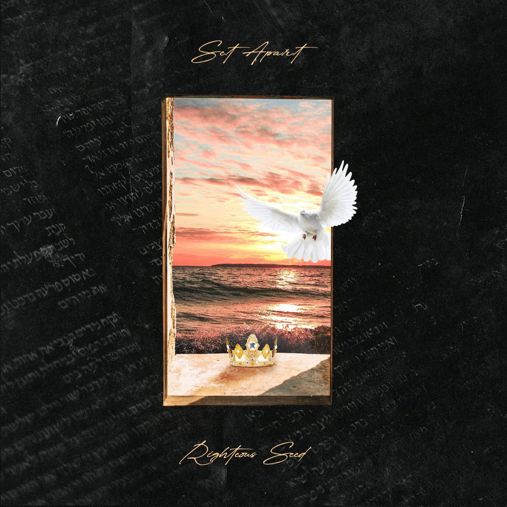 Album artwork for JOY by Seed