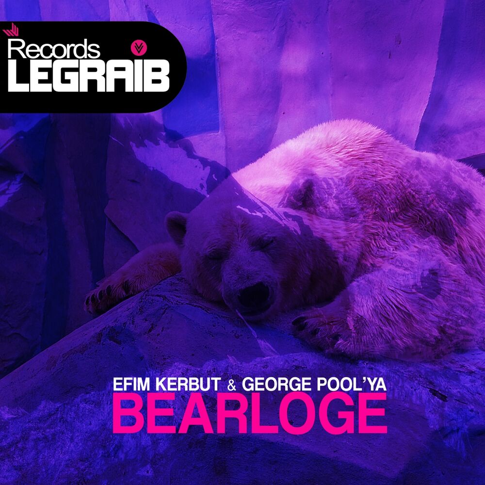 Picture of Bearloge