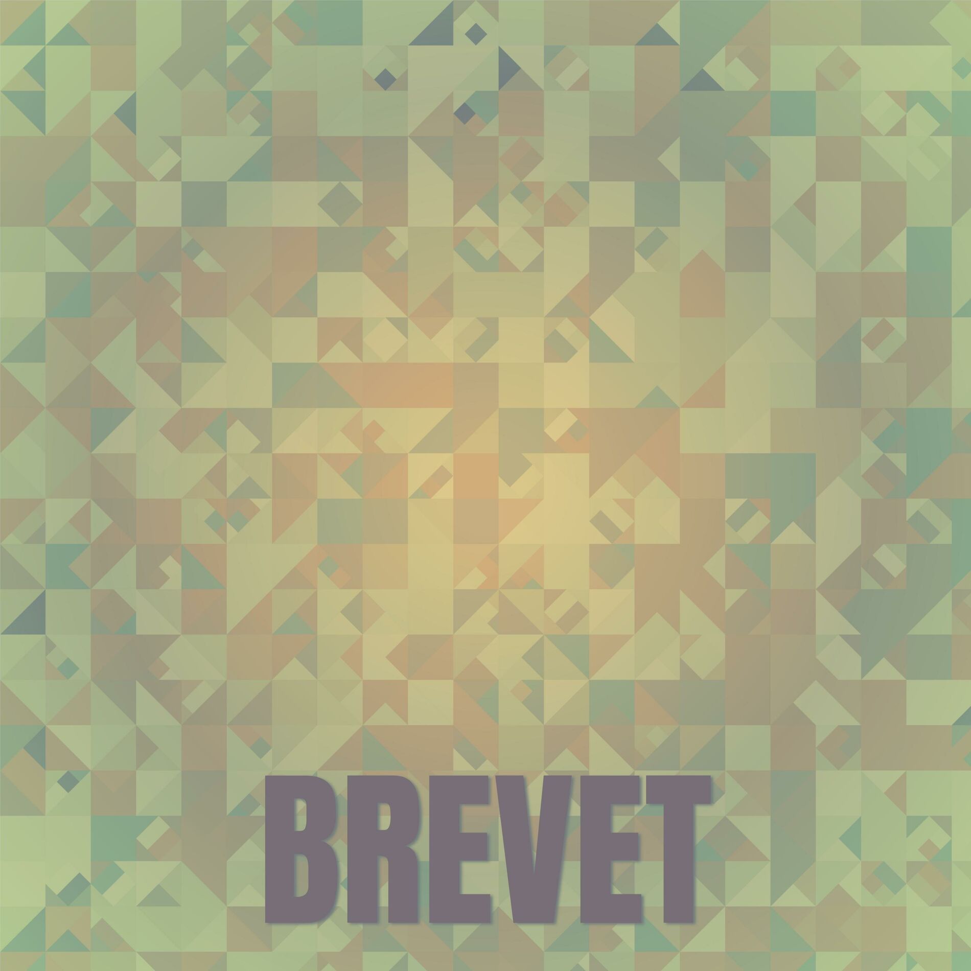 Album cover of Brevet