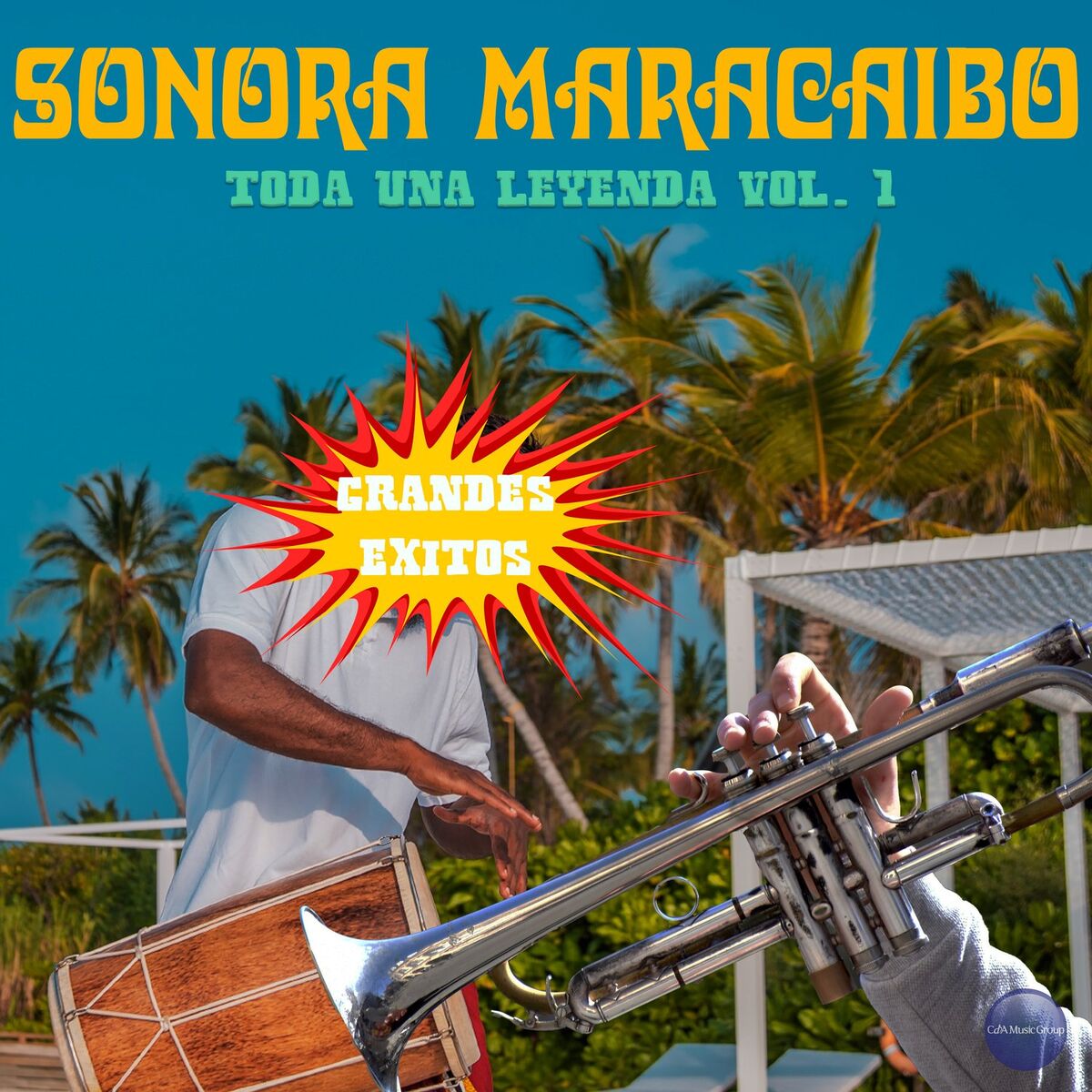 Album cover of Toda una Leyenda Vol. 1