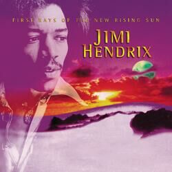 Cover of First Rays Of The New Rising Sun