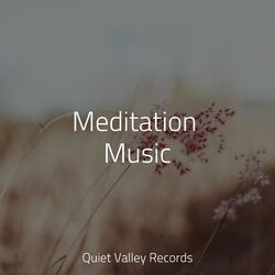 Cover of Meditation Music