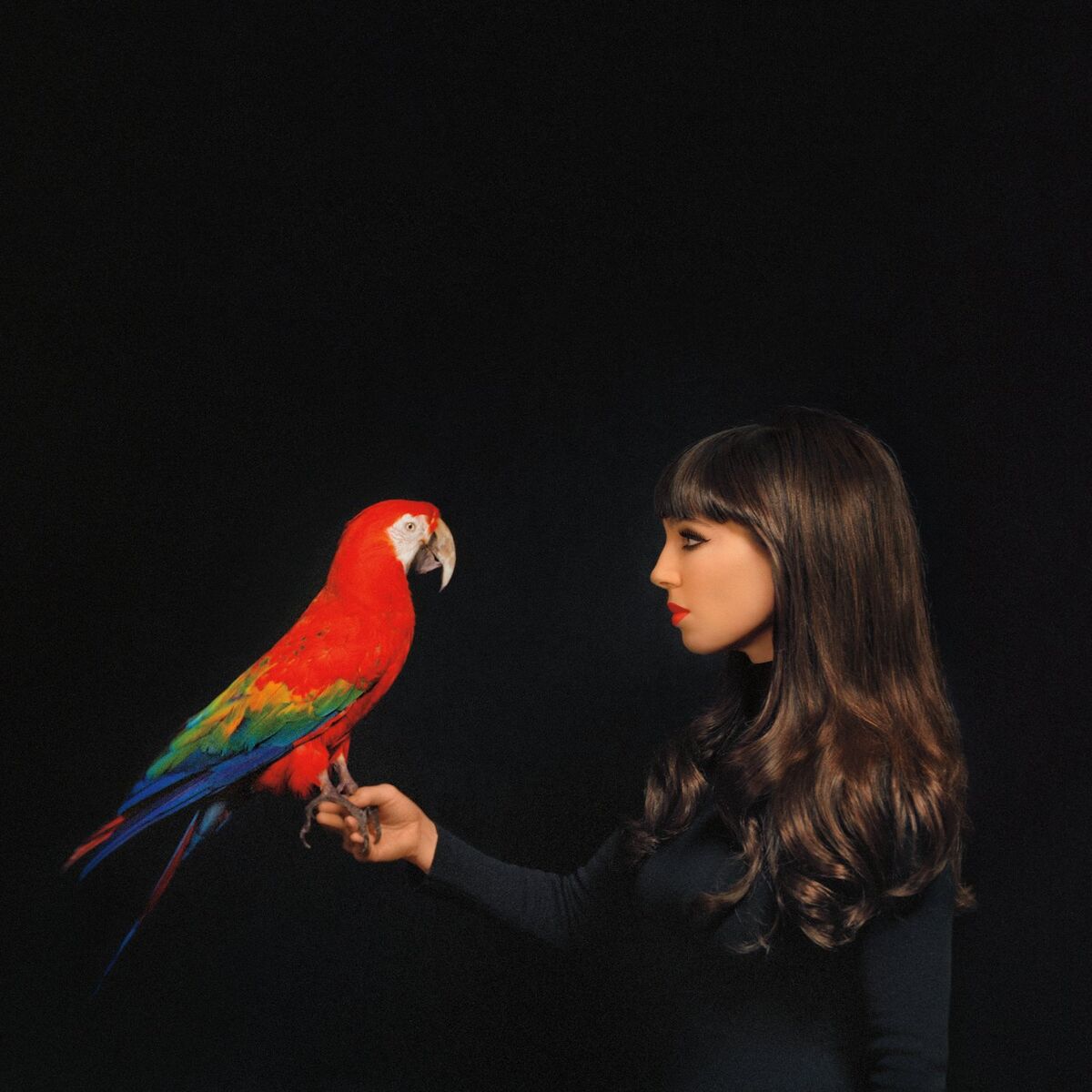 Album cover of Hot Tears