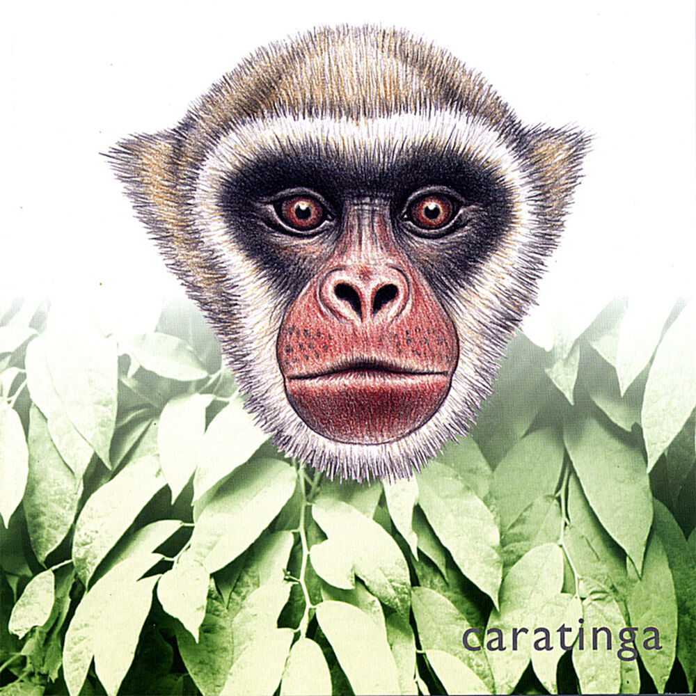 Picture of Caratinga: Soundscapes from Brazil's Atlantic Rainforest