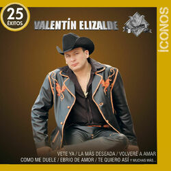 Cover of Íconos 25 Éxitos