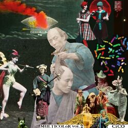 Cover of Multicolór vol.2