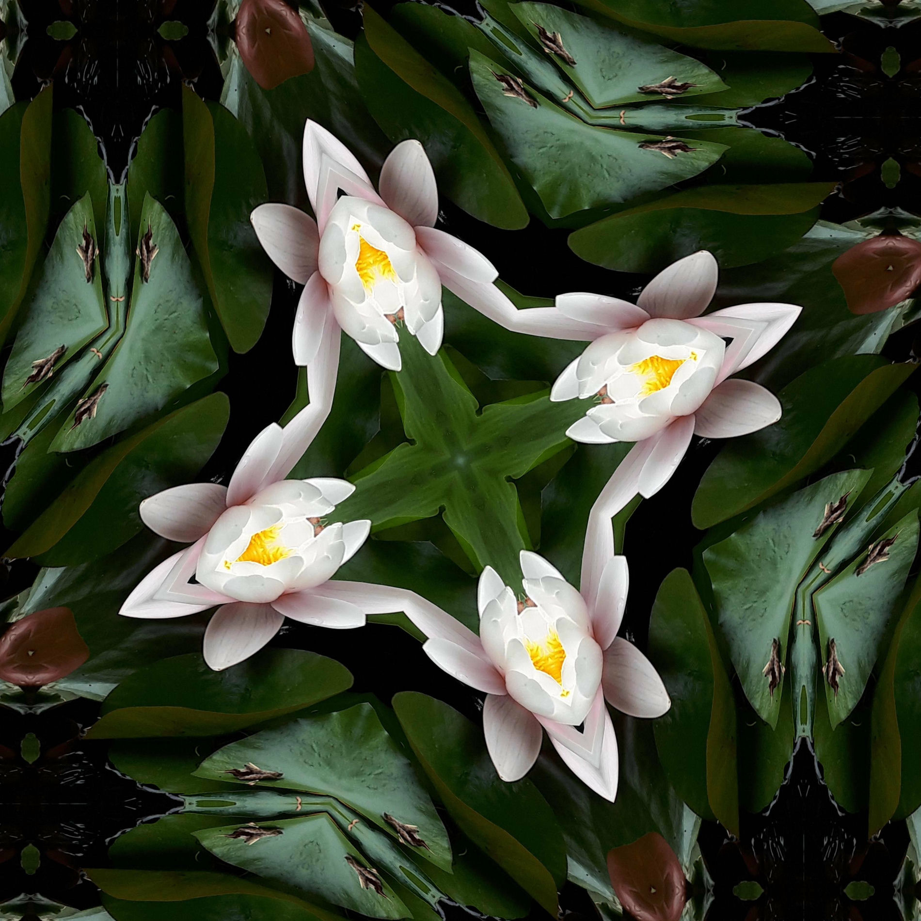 Album cover of Vipassana Method (New Age Ambient)