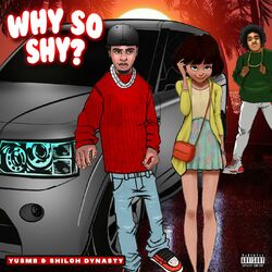 Cover of Why So Shy?