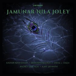 Cover of Jamunar Nila Joley