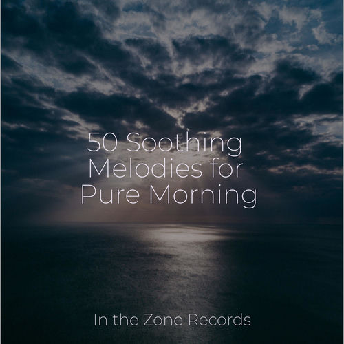 50 Soothing Melodies for Pure Morning