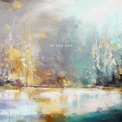 Cover of In the Sky
