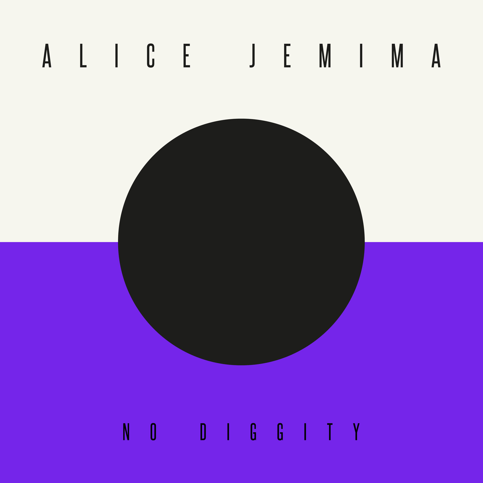 Album cover of No Diggity