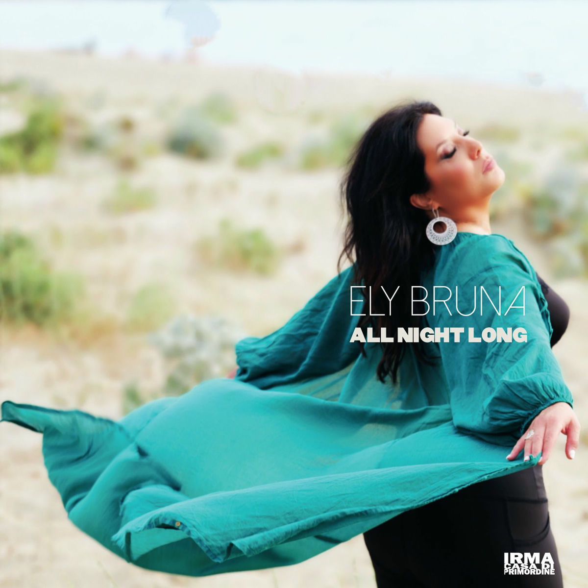 Album cover of All Night Long