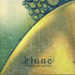 Cover of The Eye of Needle