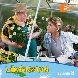 Cover of Episode 08: Punktsieg für die Marienkäfer (Das Original Hörspiel zur TV-Serie)