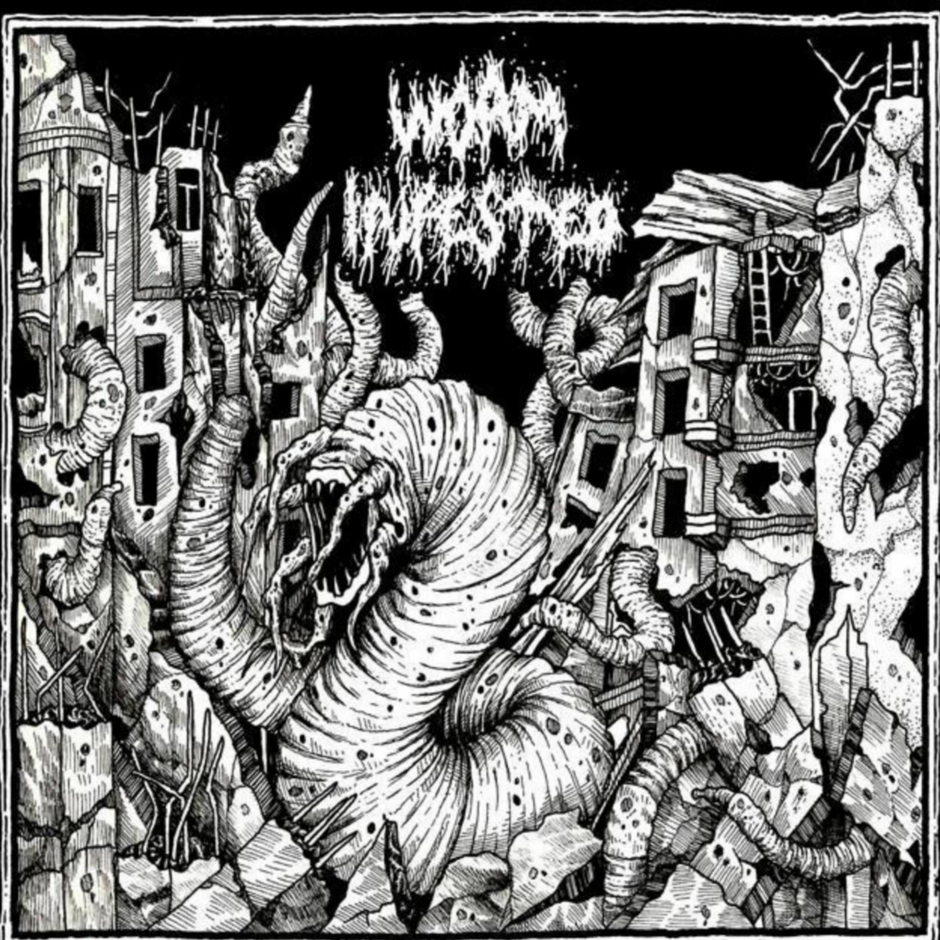 Album cover of Worm City