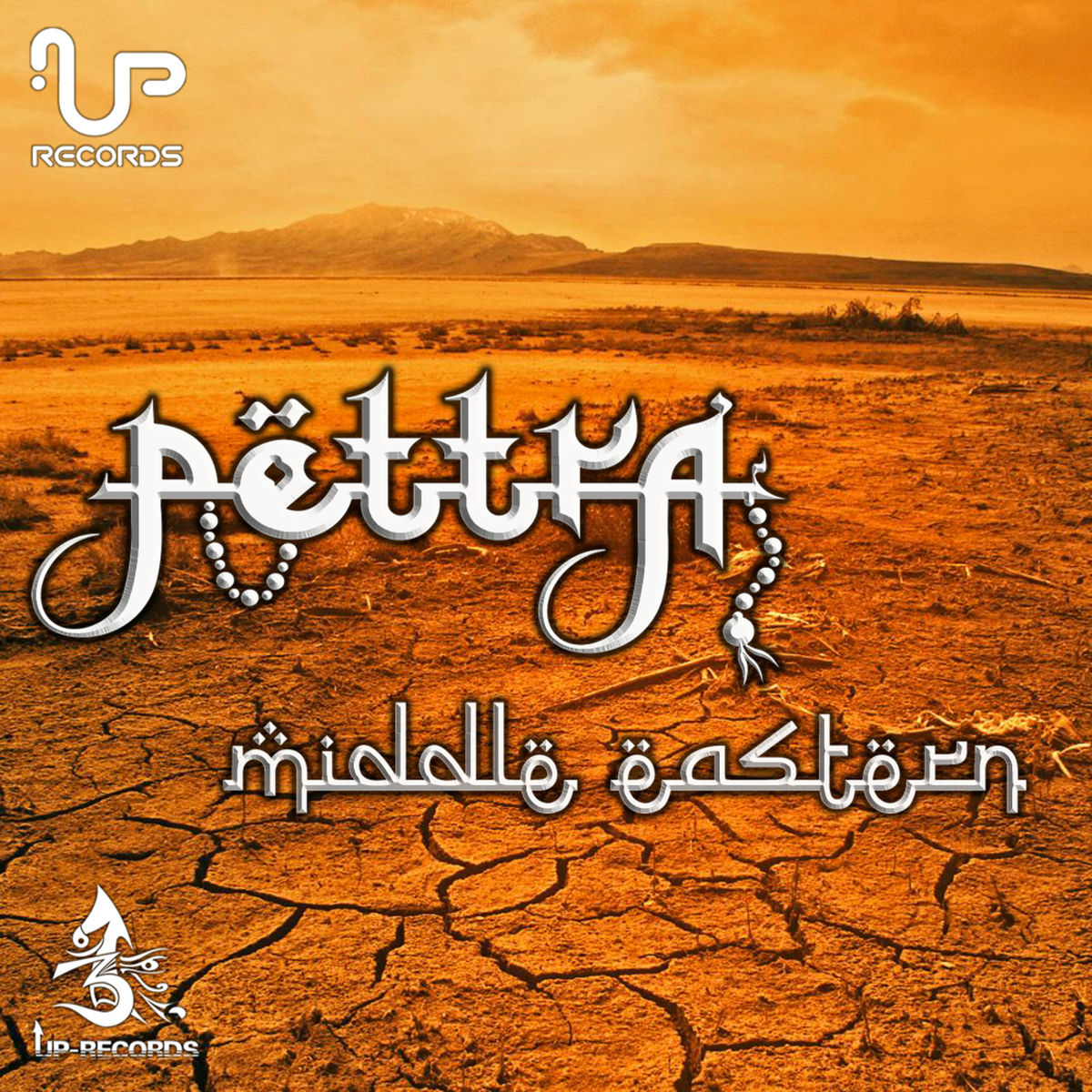 Album cover of Desert