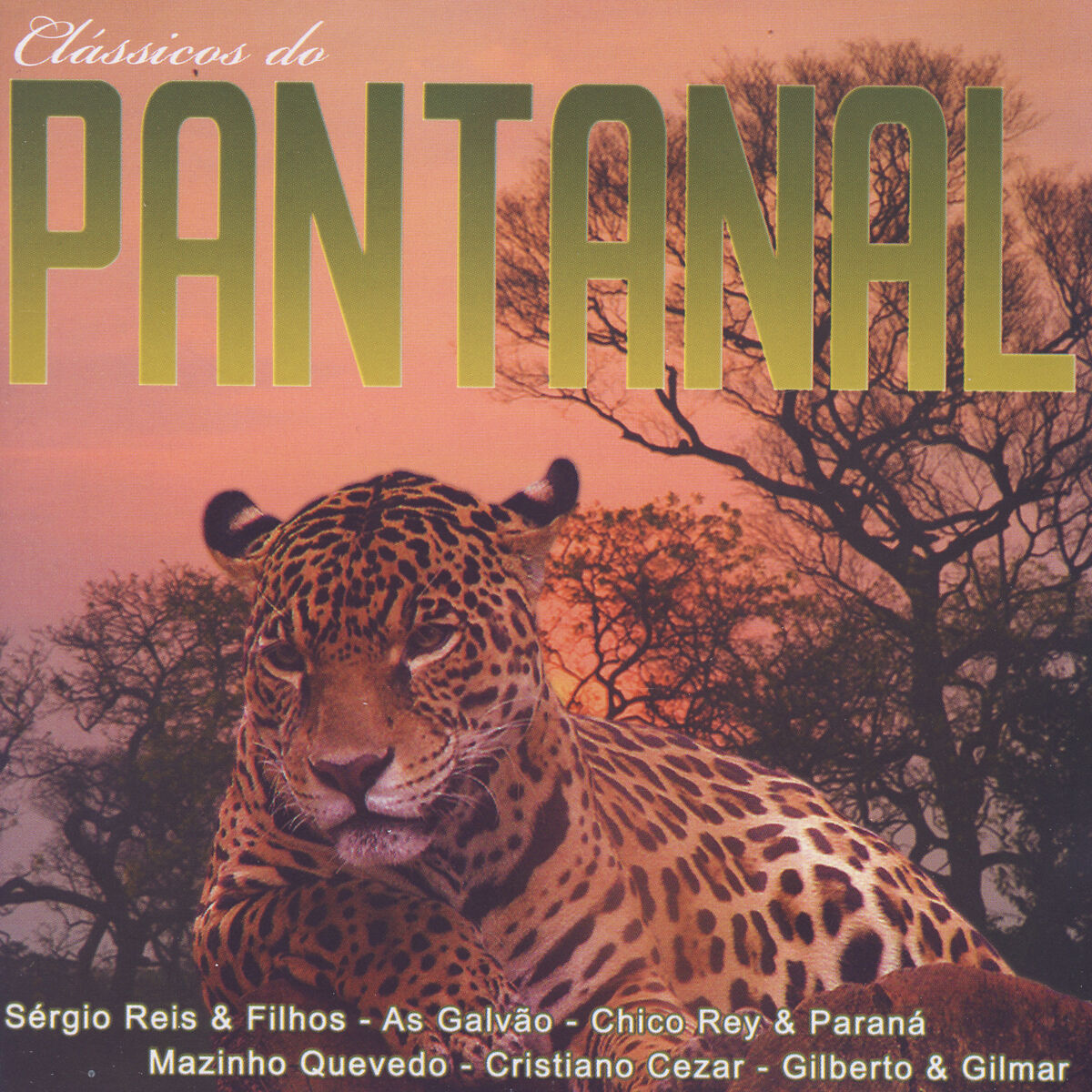 Album cover of Clássicos Do Pantanal