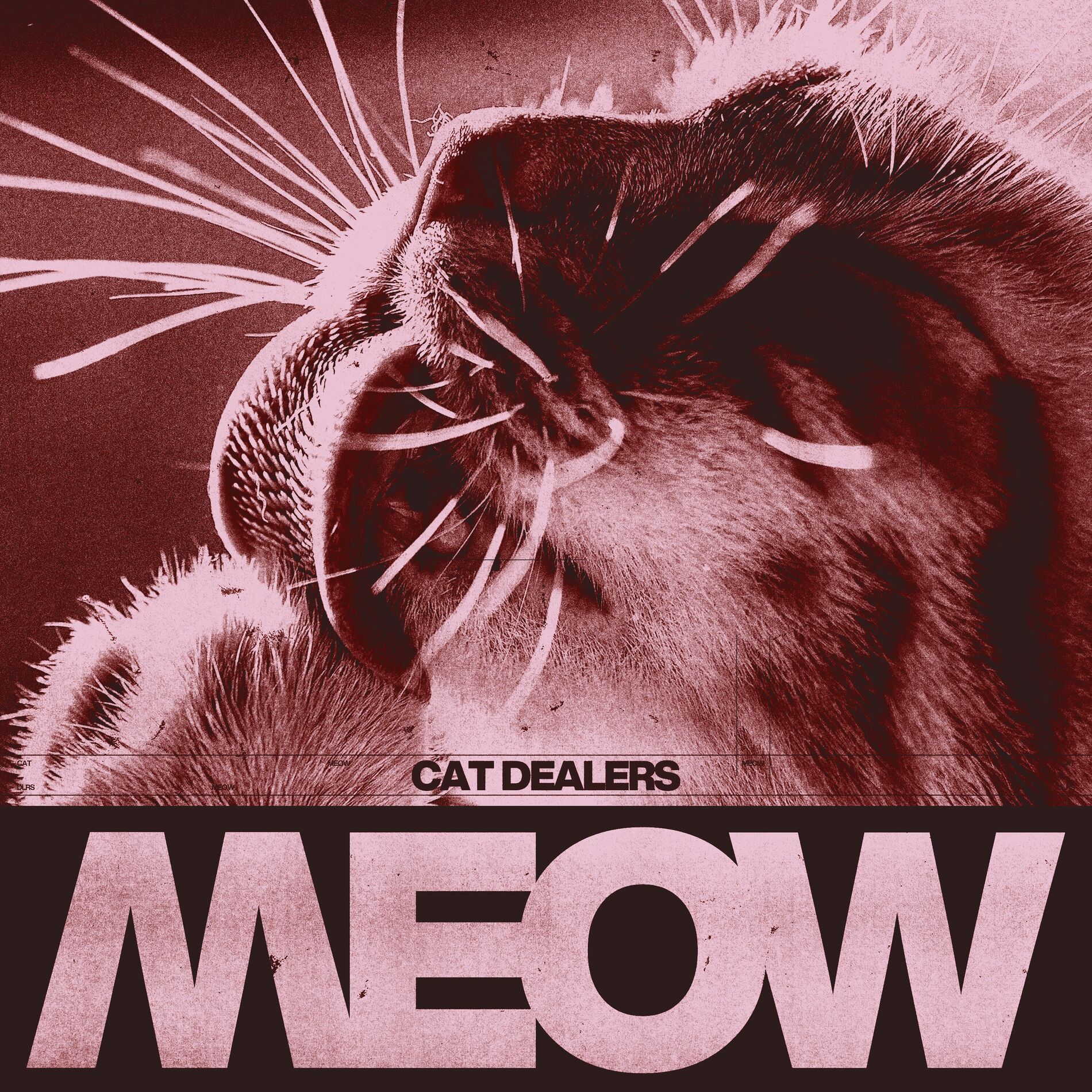 Album cover of MEOW