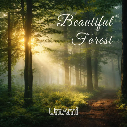 Beautiful Forest