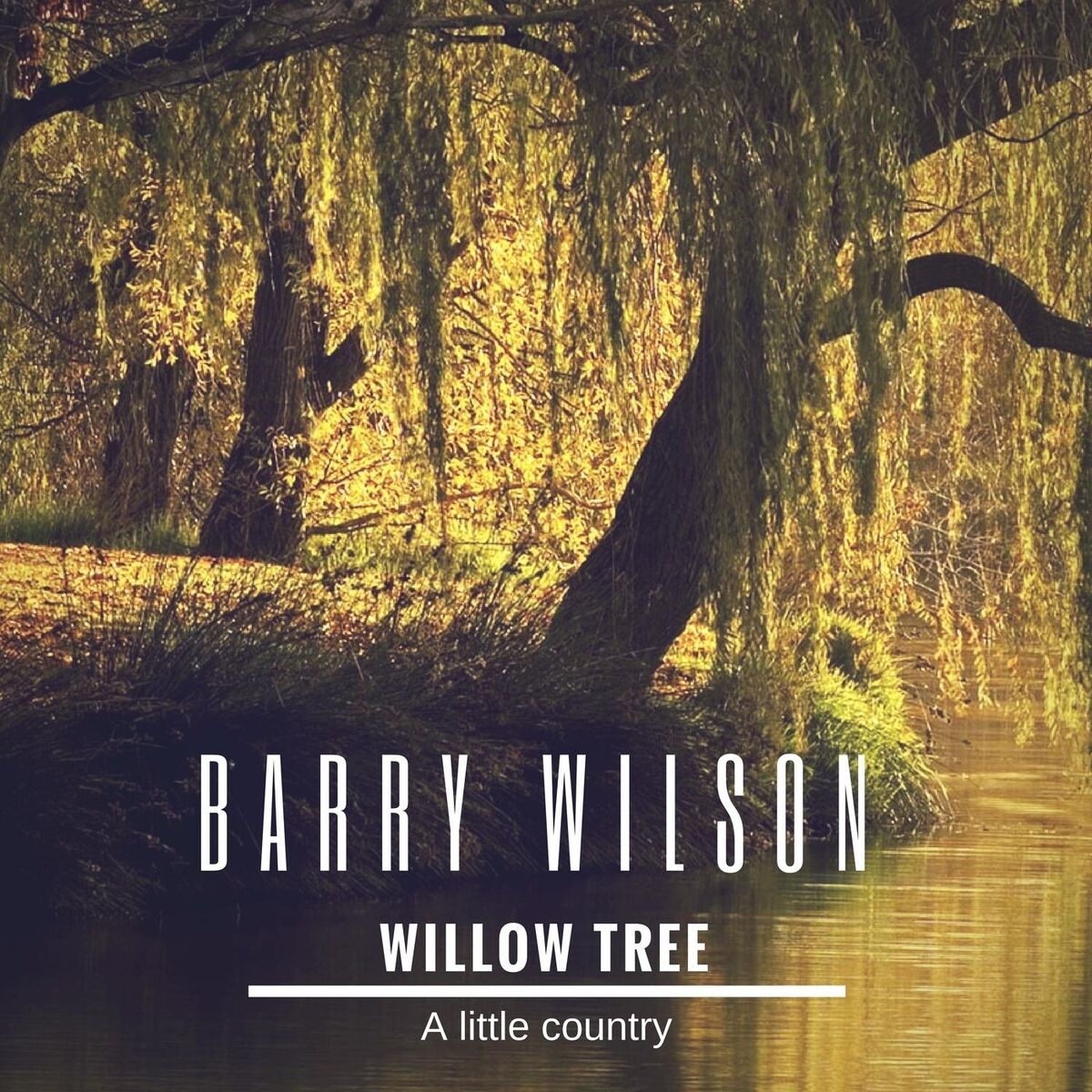 Album cover of Take Me Home, Country Roads