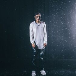 Cover of i feel like crying